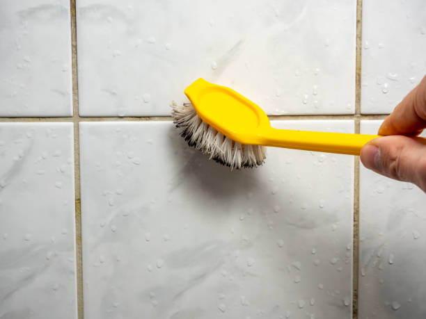 Best Certified Mold Removal  in Effingham, IL