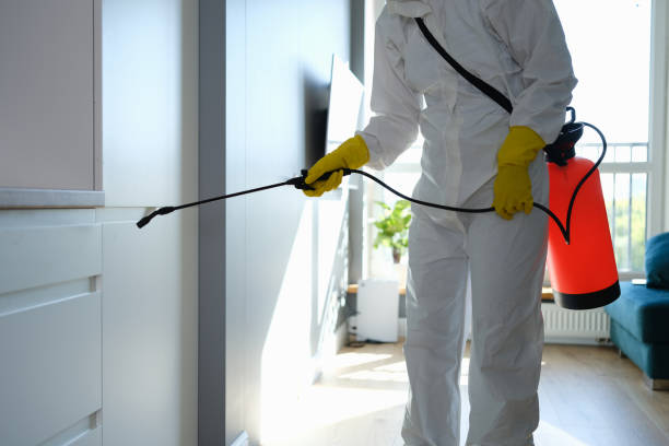 Professional Mold Removal in Effingham, IL